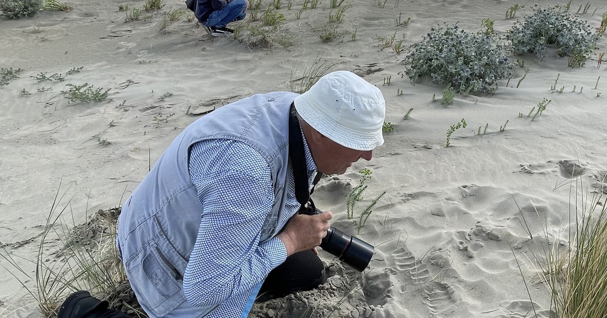 Zoute dazen, strandvlooien en geniepige knutjes: Chiel is gek op kriebeldingen