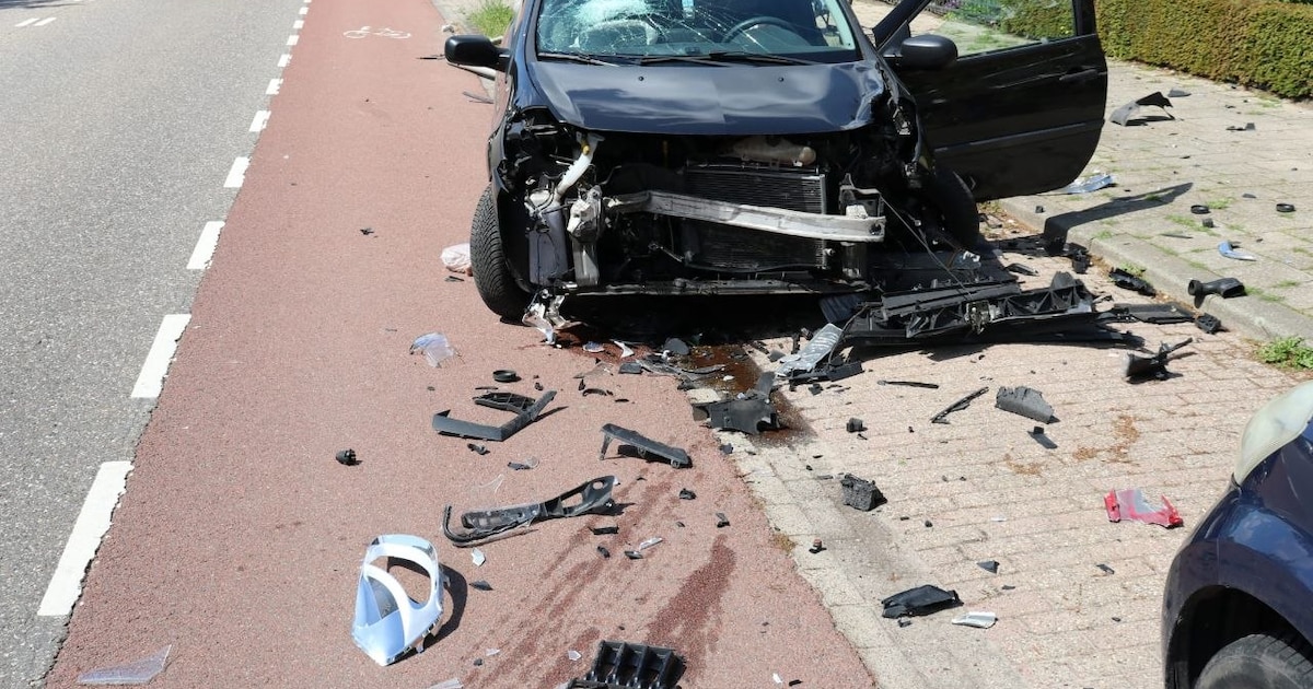 Automobilist richt ravage aan nadat hij uitwijkt voor overstekende eendjes
