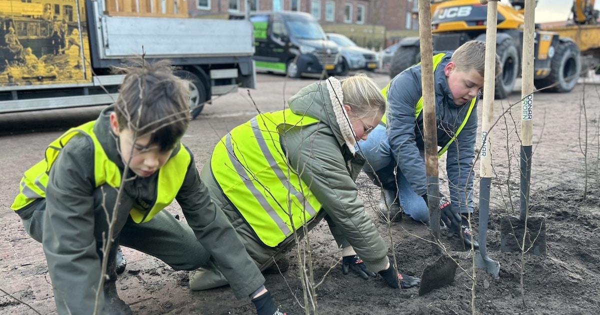 In Waddinxveen is er nu voor elk van de 14.000 huishoudens één boom ...