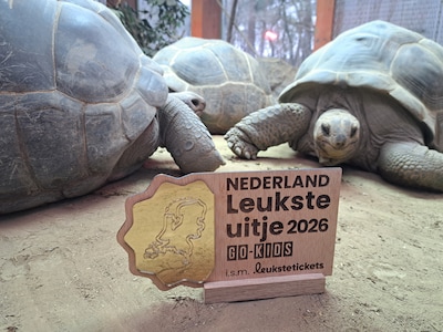 Dierenpark Amersfoort verkozen tot het leukste uitje van Nederland