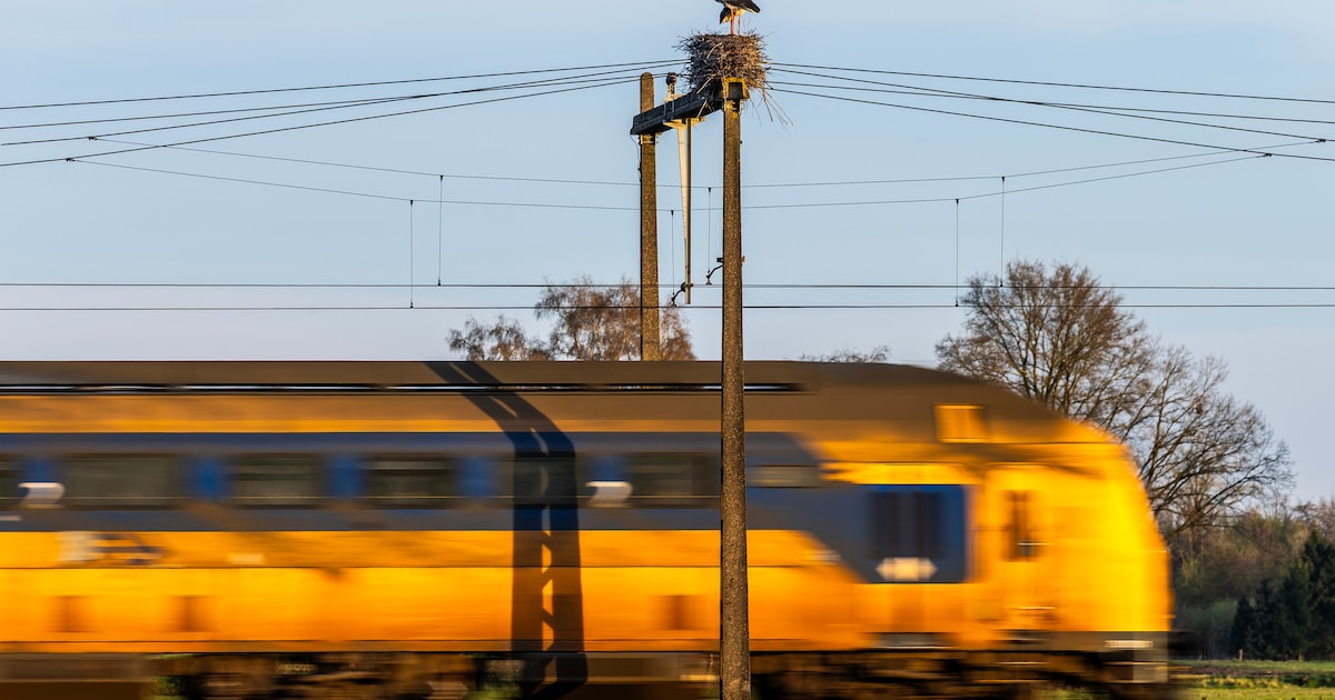 Geen treinen tussen Deventer en Rijssen door beschadigde spoorbrug