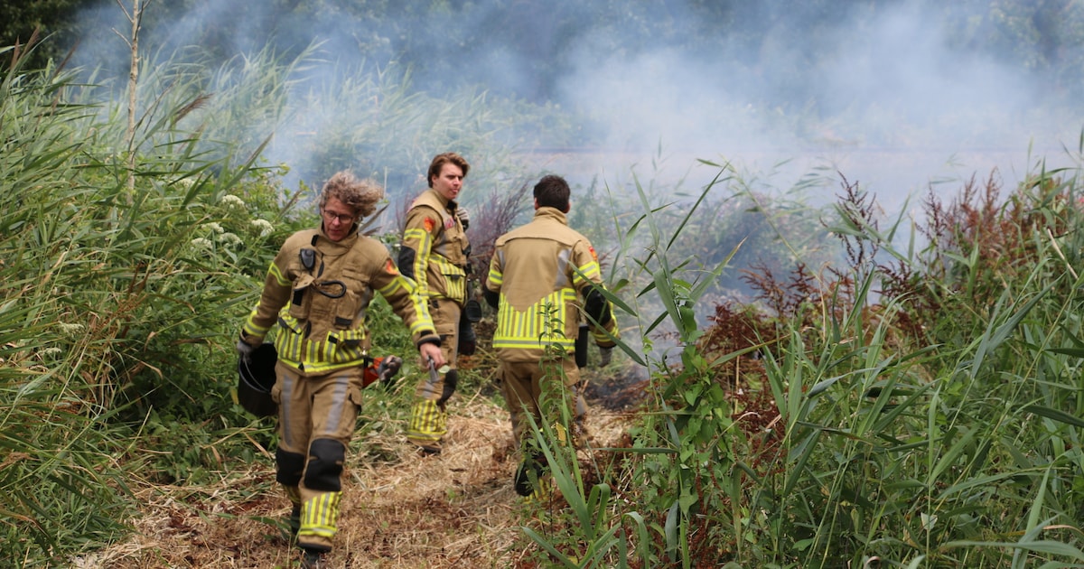 Geen treinverkeer door bermbrand Waddinxveen