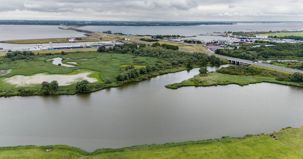 Inwoners Stellendam kunnen met gemeentebestuur in gesprek