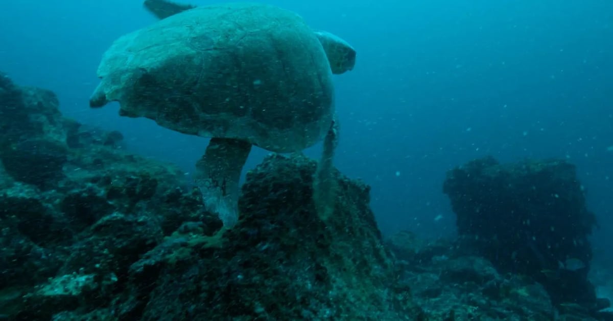 Klimaatweek Baarn start met documentaire The Coriolis Effect en inspiratiemarkt