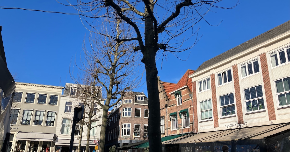 Binnenstad Goes krijgt nieuwe mascotte: bezoekers kunnen naam insturen