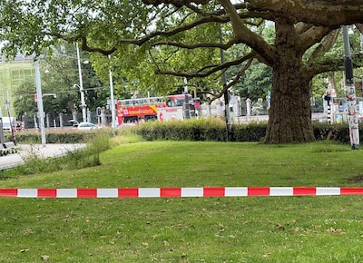 Image related to the article
