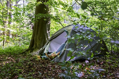 Overlast door buitenslapers meer dan verdubbeld: Den Haag komt met nieuwe aanpak en nachtopvang