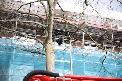 Voordeur beschadigd bij brand in portiekwoning