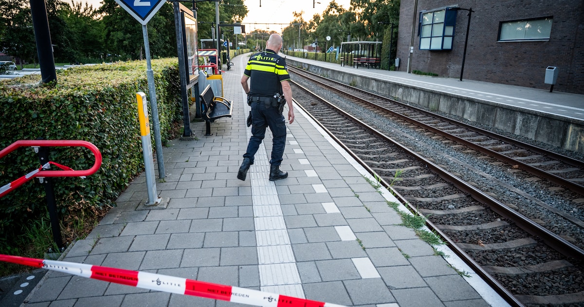 Gewonde bij steekpartij station Bodegraven is 17-jarige jongen, mogelijk ging conflict aan incident 