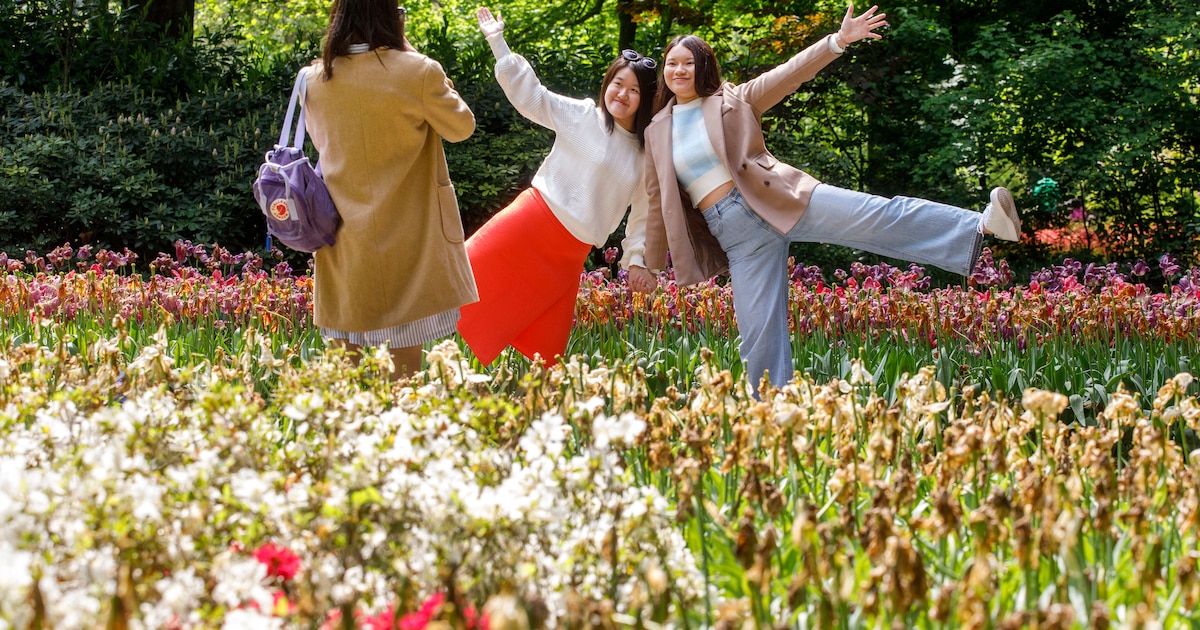 Lisse onderzoekt nieuwe toeristische informatievoorziening
