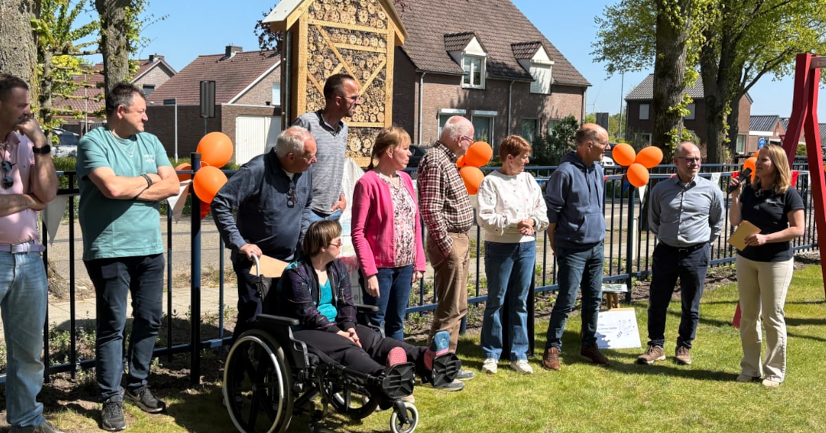 Nieuwe inclusieve speeltuin met draaimolen geopend in Ospeldijk