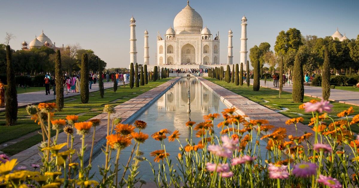 BN’ers gaan fietsen in India voor nieuw SBS 6-programma | Show | AD.nl
