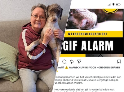 Image related to the article