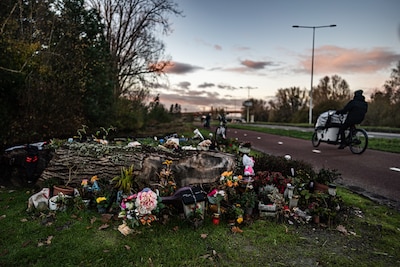 amsterdam-nederland-21-11-2025-de-herdenkingsplek-hart-van-groen-voor-lisa-is-ingericht-langs-de-holterbergweg-in-duivendrecht-op-de-plek-waar-de-17-jarige-lisa-werd-gevonden-met-een-permanent-bloemenhart-ter-vervanging-van-de-eerdere-bloemenzee-knuffels-en-kaarten-de-knuffels-die-er-waren-zijn-gewassen-en-gedoneerd-aan-een-goed-doel-foto-joris-van-gennip