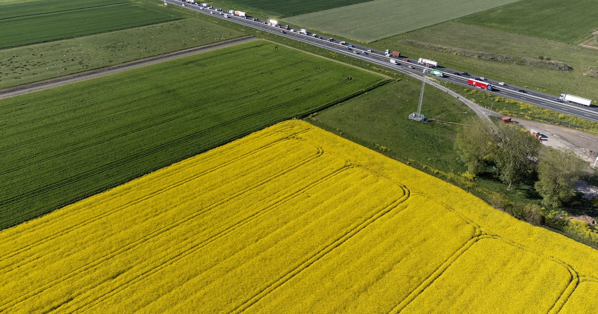De regio kleurt geel, maar wat zijn toch die grote gele vlaktes langs de A12?
