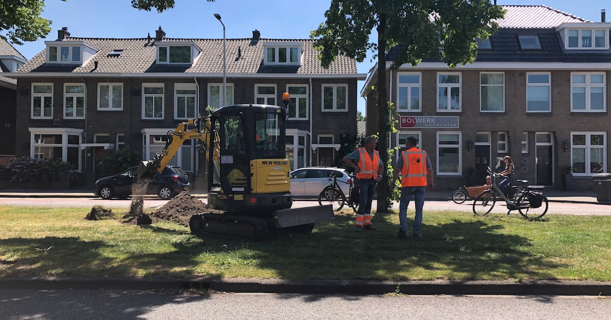 Bodemonderzoek voor dijkversterking in Venlo start eind november