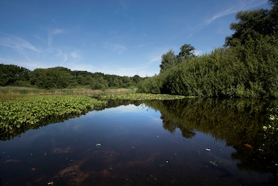 Herstel De Groote Meer begint in Valkenswaard