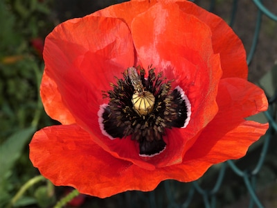 Expositie ‘Samengaan’ in Kerkje van Persingen