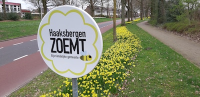 Bermbloemen voor de bijen!