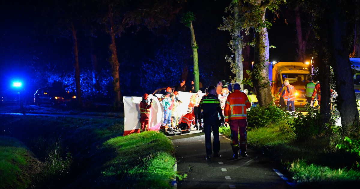 Automobilist zwaargewond na frontale botsing tegen boom op N987