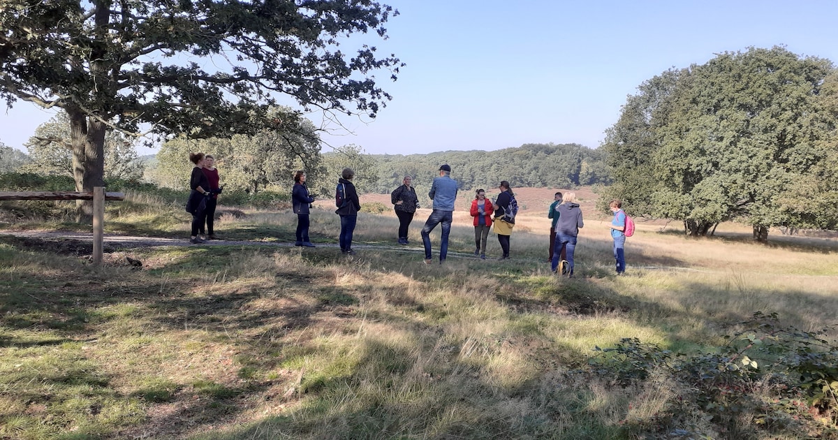 Wandeling met verhalen voert door de Peel bij America