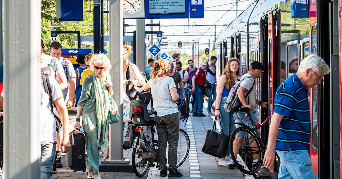 06-nummer in de trein voor je ‘veiligheid’ helpt écht volgens NS: ‘Elke ...