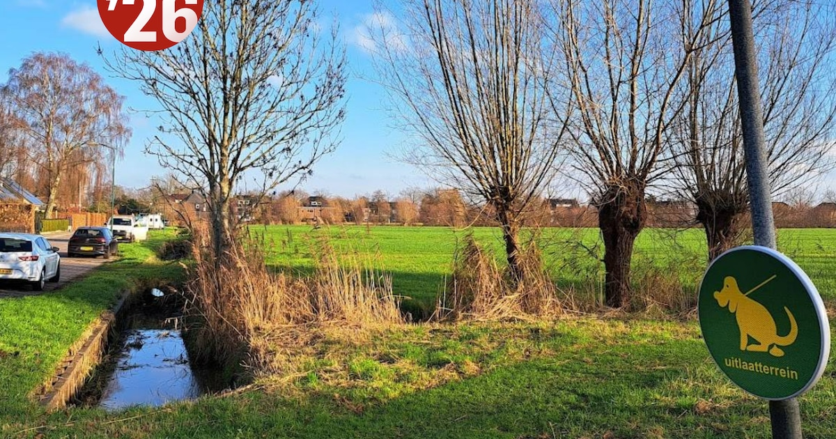 Is woningbouw aan de Stadhouderslaan in Soest een verkiezingsitem? Het antwoord is: euhhh... ja en n