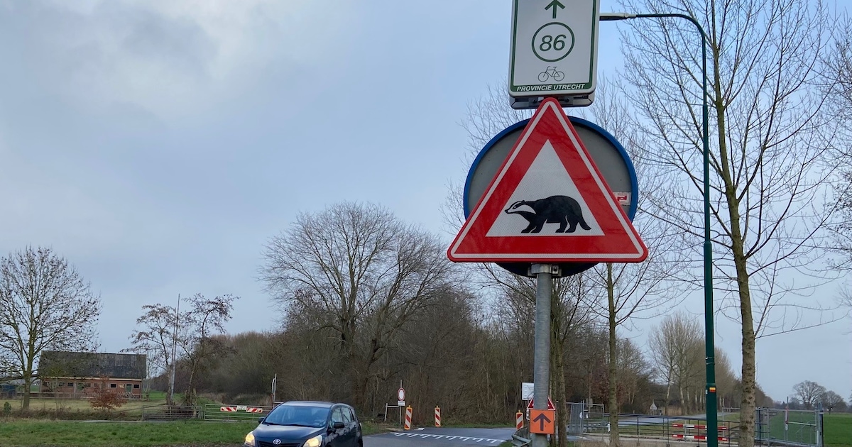 Waarschuwingsbord voor dassen in Wijk bij Duurstede