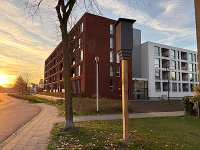 Mysterie opgelost: hiervoor dienen die zwarte kasten op palen aan de Europaweg