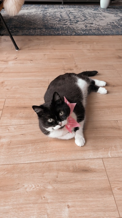 Image related to the article