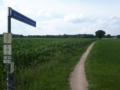 ‘Tientallen paardenliefhebbers gedupeerd na afsluiten pad door landgoedeigenaar’