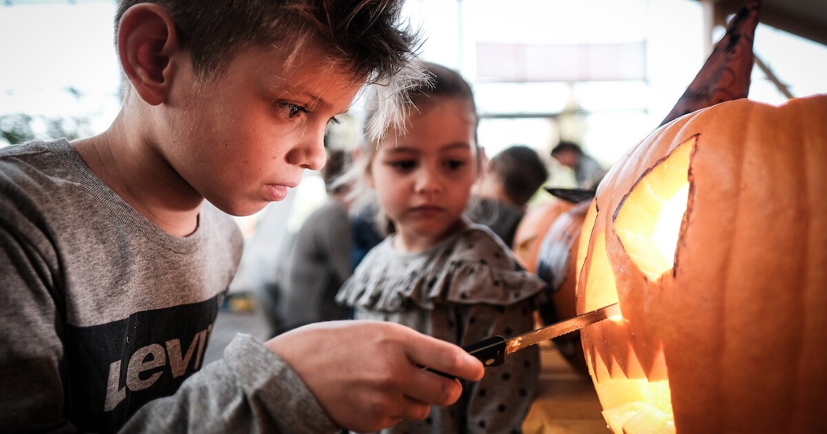 Kom pompoenen snijden in Dorpshuis De Dregt: gratis pompoen en limonade