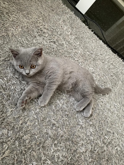 Image related to the article