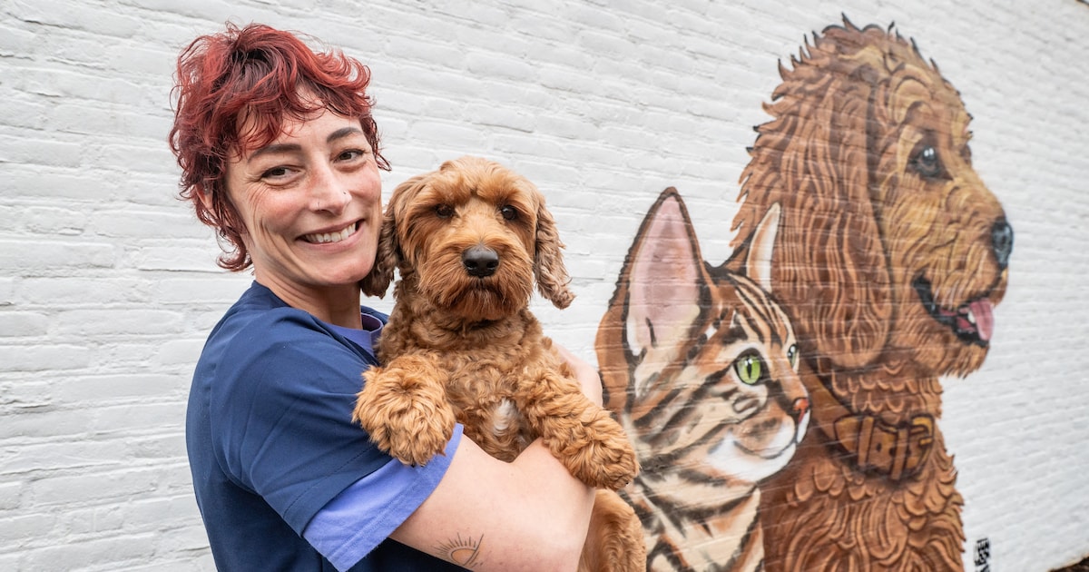 Van keten terug naar de kleine praktijk: dit is de opvallende comeback van de zelfstandige dierenart