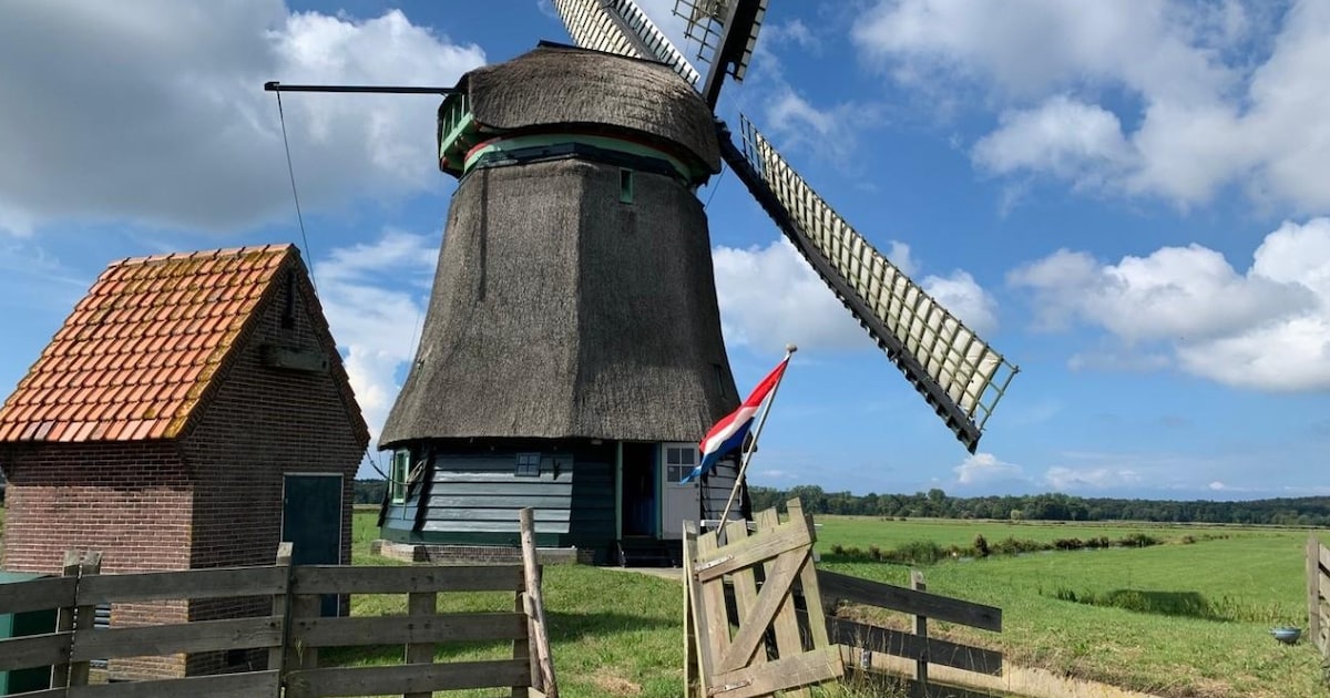 Philisteinse Molen in Bergen opent deuren voor Nationale Molendag