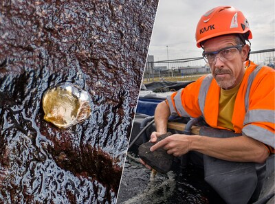 Rotterdamse Maasvlakte zet oesters in om onderwaterleven nieuw leven in te blazen