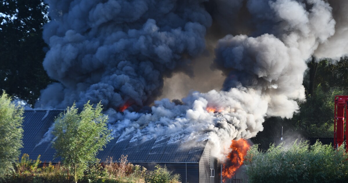 Enorme brand in paardenstal in Aardenburg | Foto