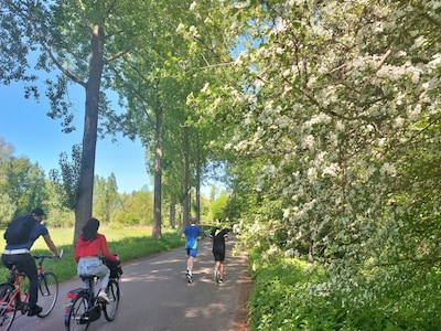 Op deze kaart vind je de koelste plekjes in Eindhoven