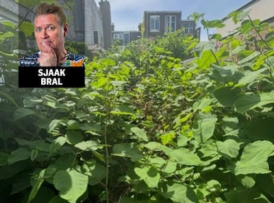 Remedie tegen ergste vijand komt uit onverwachte hoek: ‘Gebeurt niet vaak, dat Zoetermeer succesvol 