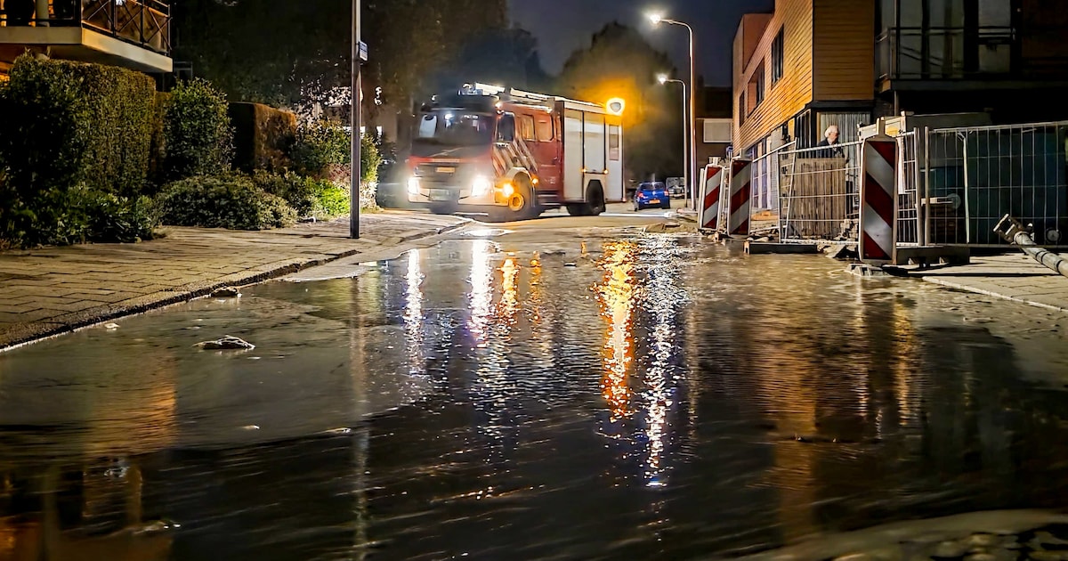 Leidingbreuk in Zwijndrecht zorgt voor wateroverlast aan Tolhuis: herstel kan tot 21 juni duren