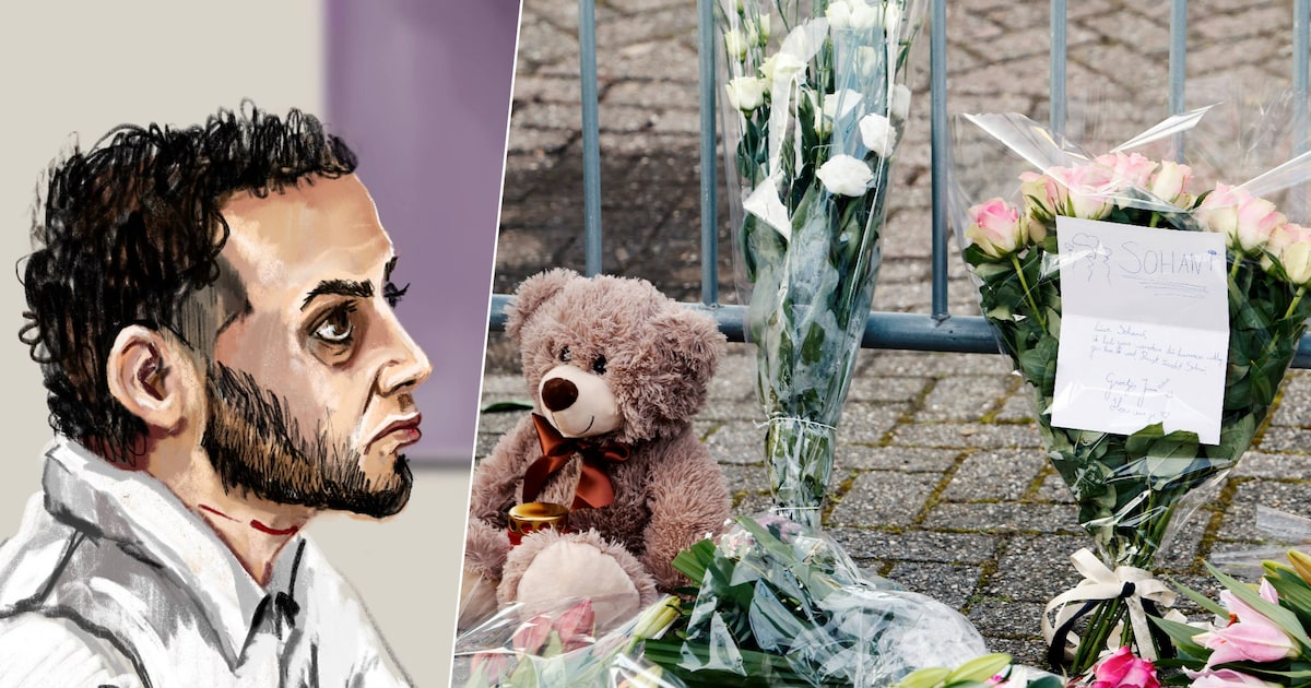 Hamzah L. stak Sohani (11) dood, maar kreeg ‘slechts’ tbs, geen cel: ‘Hij is nu ook regie kwijt over