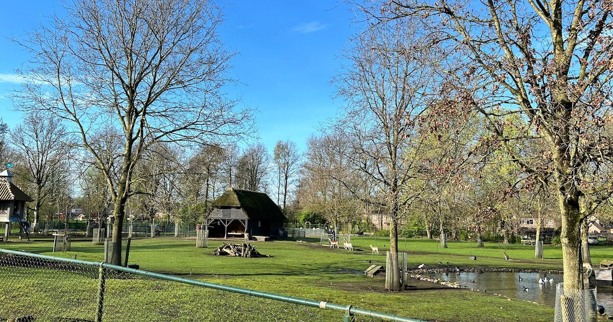 Peter Vereijken stopt na ruim tien jaar als bestuurslid van dierenweide Stroomdal in Beilen | Midden