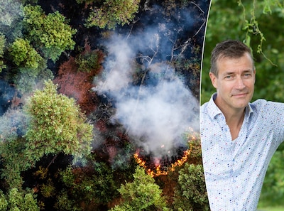 Bosexpert ziet grote natuurbrand vanuit zijn tuin: ‘We moeten onze bossen anders inrichten’