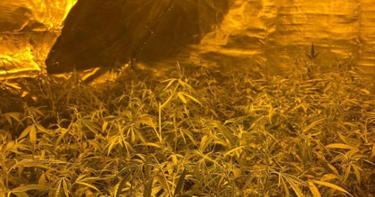 Gemeente Borsele sluit drugspand in Ovezande