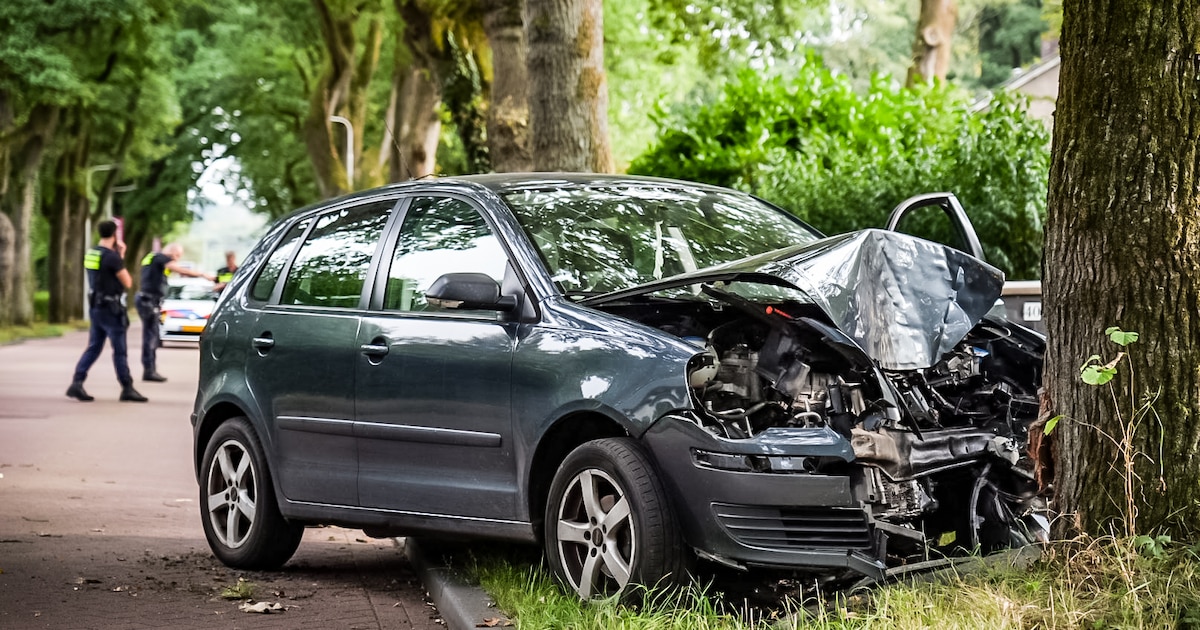Automobilist gewond na botsing met boom in Wolfheze