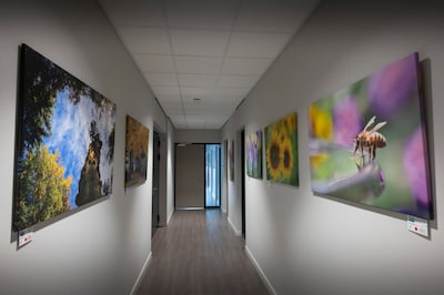 Expositie macrofotografie van Kox gratis te zien in MFA De Kei in Reusel