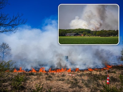 Grote brand op Oirschotse Heide tijdens militaire oefening uitgebroken, dag na brand op Defensieterr