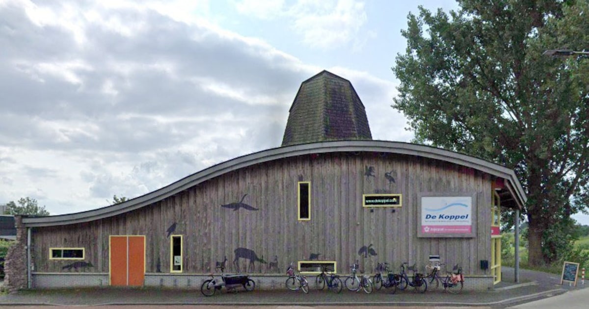Kinderen helpen boswachter met vogels ‘spotten’ in Hardenberg