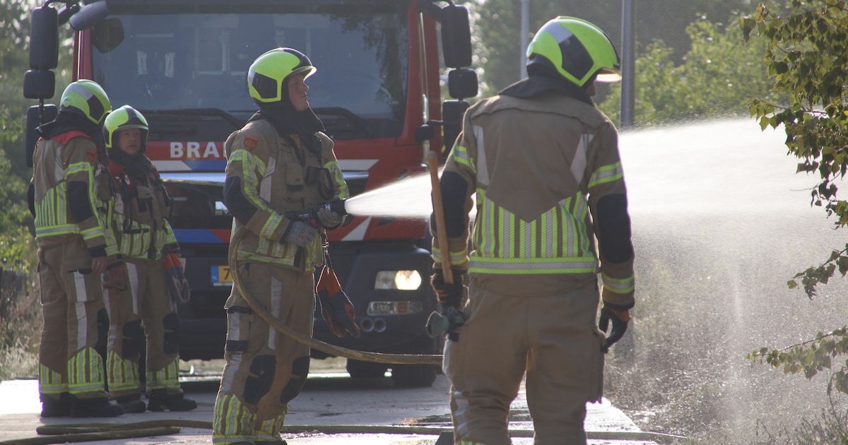 Duinbrand in Katwijk snel onder controle, circa 100 vierkante meter verwoest