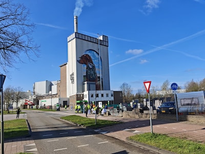 Brand bij diervoederfabriek vlakbij stadscentrum: personeel geëvacueerd